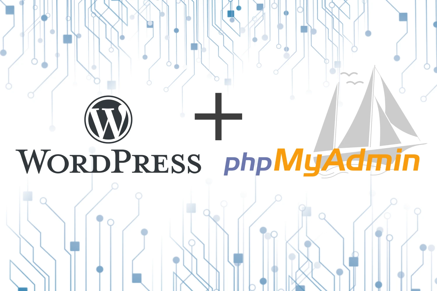 phpmyadmin wordpress şifre değiştirme
